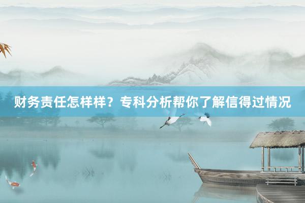 财务责任怎样样？专科分析帮你了解信得过情况