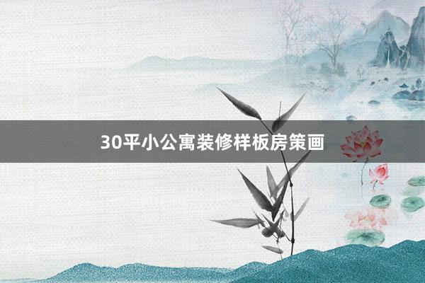 30平小公寓装修样板房策画